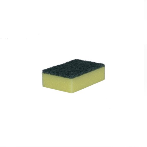 Basic Sponge Scourers Green/Yellow (10) by Infotone