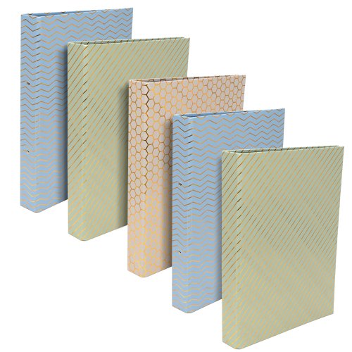 Pukka Haze A4 Ringbinder Files (5) Assorted by Infotone